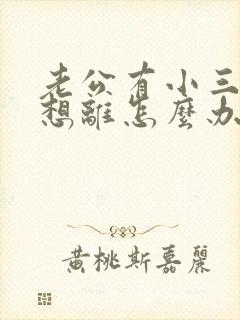 老公有小三我不想离怎么办