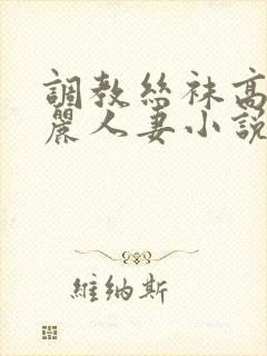 调教丝袜高跟美丽人妻小说