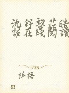 沈舒黎庄皓谦小说在线阅读