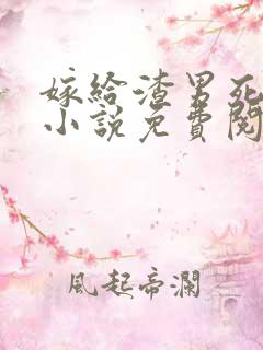 嫁给渣男死对头小说免费阅读完本