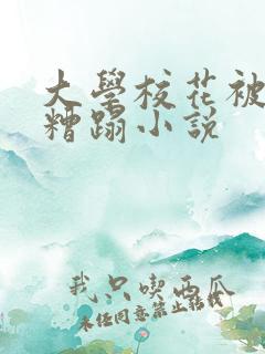 大学校花被黑人糟蹋小说