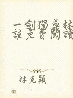 一剑独尊林风小说免费阅读