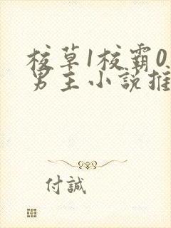 校草1校霸0双男主小说推荐