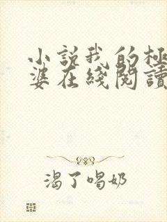 小说我的极品老婆在线阅读全文