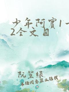 少年阿宾1一72全文目