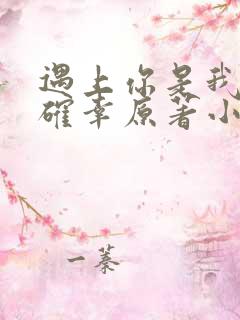 遇上你是我的小确幸原著小说