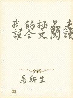 我的极品老婆小说全文阅读免费