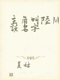 主角叫陆川的小说名字