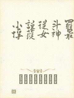 小说从斗罗开始俘获女神最新章节