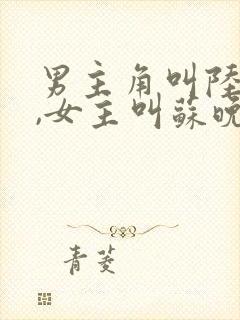 男主角叫陆景川,女主叫苏晚晴的小说