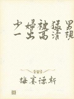 少妇被猛男一进一出高清视频