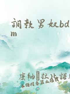 调教男奴bdsm