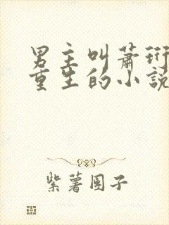 男主叫萧珩女主重生的小说