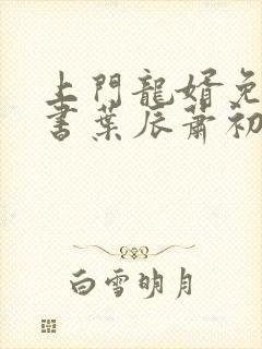 上门龙婿免费听书叶辰萧初然