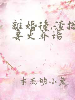 离婚后,渣总追妻火葬场