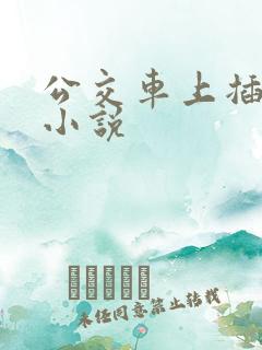 公交车上插入污小说