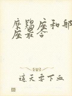 摩羯座和那个星座最合