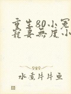 重生80小冤家宠妻无度小说