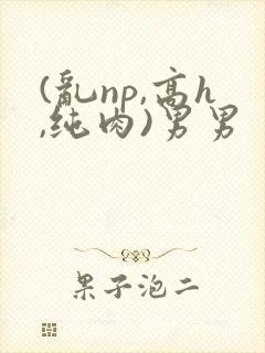 (乱np,高h,纯肉)男男