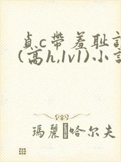 贞c带羞耻调教(高h,1v1)小说