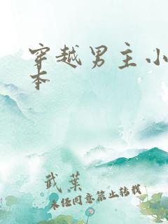 穿越男主小说全本