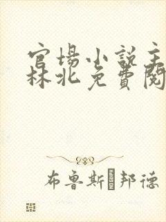 官场小说主人公林北免费阅读