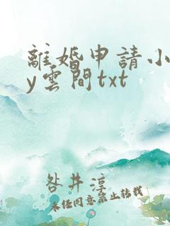离婚申请小说by云间txt