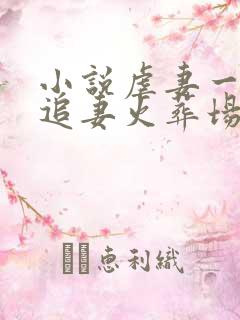 小说虐妻一时爽追妻火葬场小说