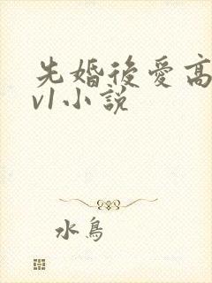 先婚后爱高h1v1小说