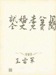 试婚老公用点力全文免费阅读