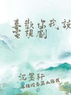 喜欢你我说了算电视剧