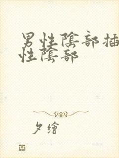 男性阴部插入女性阴部