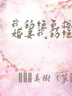 我的绝色总裁未婚妻我的绝色总裁未婚妻