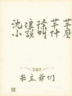 沈浪徐芊芊穿越小说叫什么名字