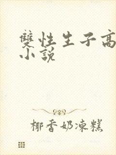 双性生子高h的小说