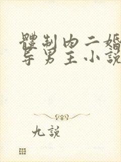 体制内二婚大领导男主小说