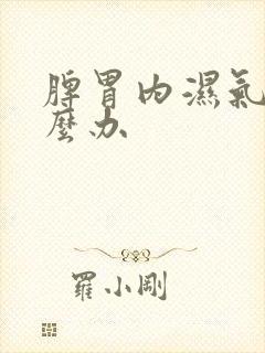 脾胃内湿气重怎么办