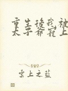 重生后我被京圈太子爷宠上天短剧