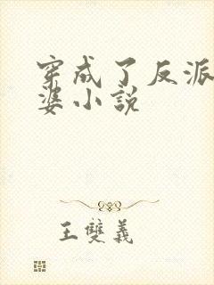 穿成了反派的老婆小说