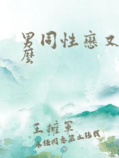 男同性恋又叫什么