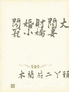 闪婚财阀大叔强宠小娇妻