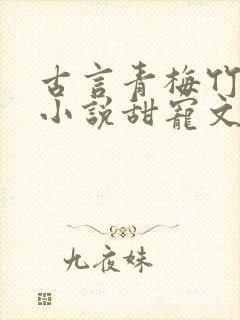 古言青梅竹马的小说甜宠文