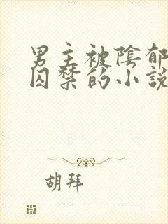 男主被阴郁疯批囚禁的小说