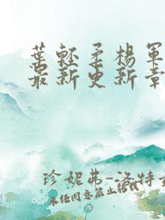 叶轻柔杨军小说最新更新章节免费阅读