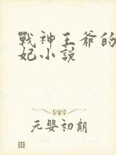 战神王爷的小医妃小说