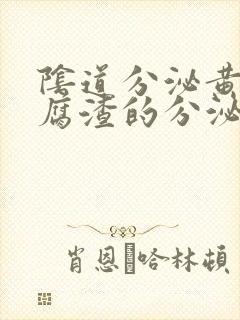 阴道分泌黄色豆腐渣的分泌物