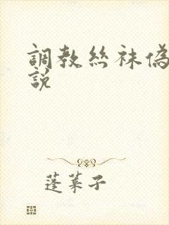 调教丝袜伪娘小说