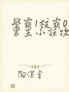 学霸1校霸0双男主小说攻文