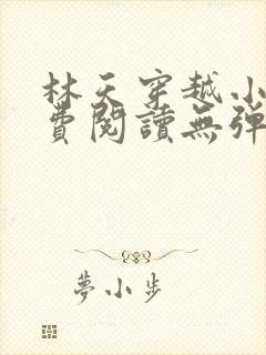 林天穿越小说免费阅读无弹窗