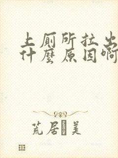 上厕所拉出血是什么原因啊